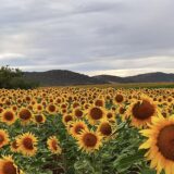 Experiencia «La humanidad del cuidado»