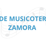 TALLER DE MUSICOTERAPIA PARA VOLUNTARIOS EN ZAMORA 